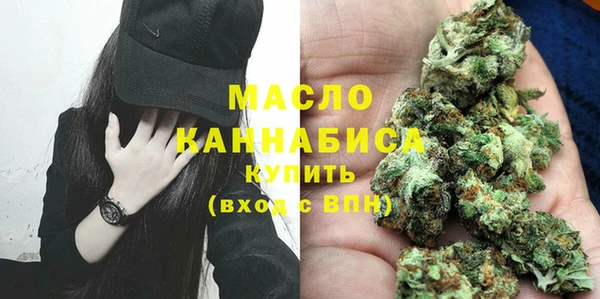 дживик Богородицк