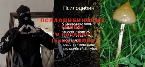 MDMA Premium VHQ Белокуриха