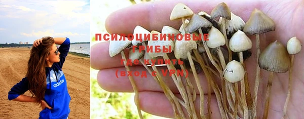 альфа пвп Беломорск