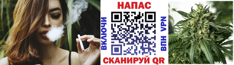 закладка  Новокузнецк  Марихуана сатива 